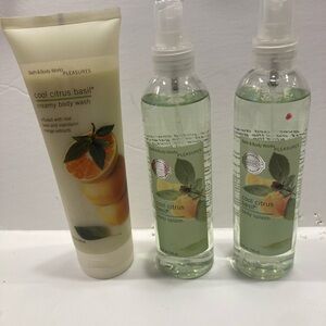 Bath & Body Works Cool Citrus Basil Body Wash and Splash Trio DISCONTINUED RARE!